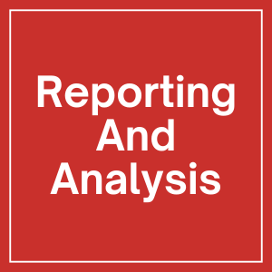 SEO REporting & Analysis